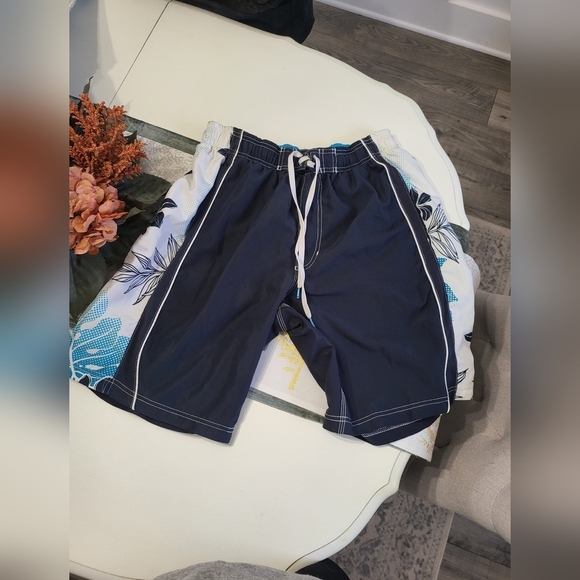 Men's Speedo Swim Trunks Navy L - Picture 1 of 6